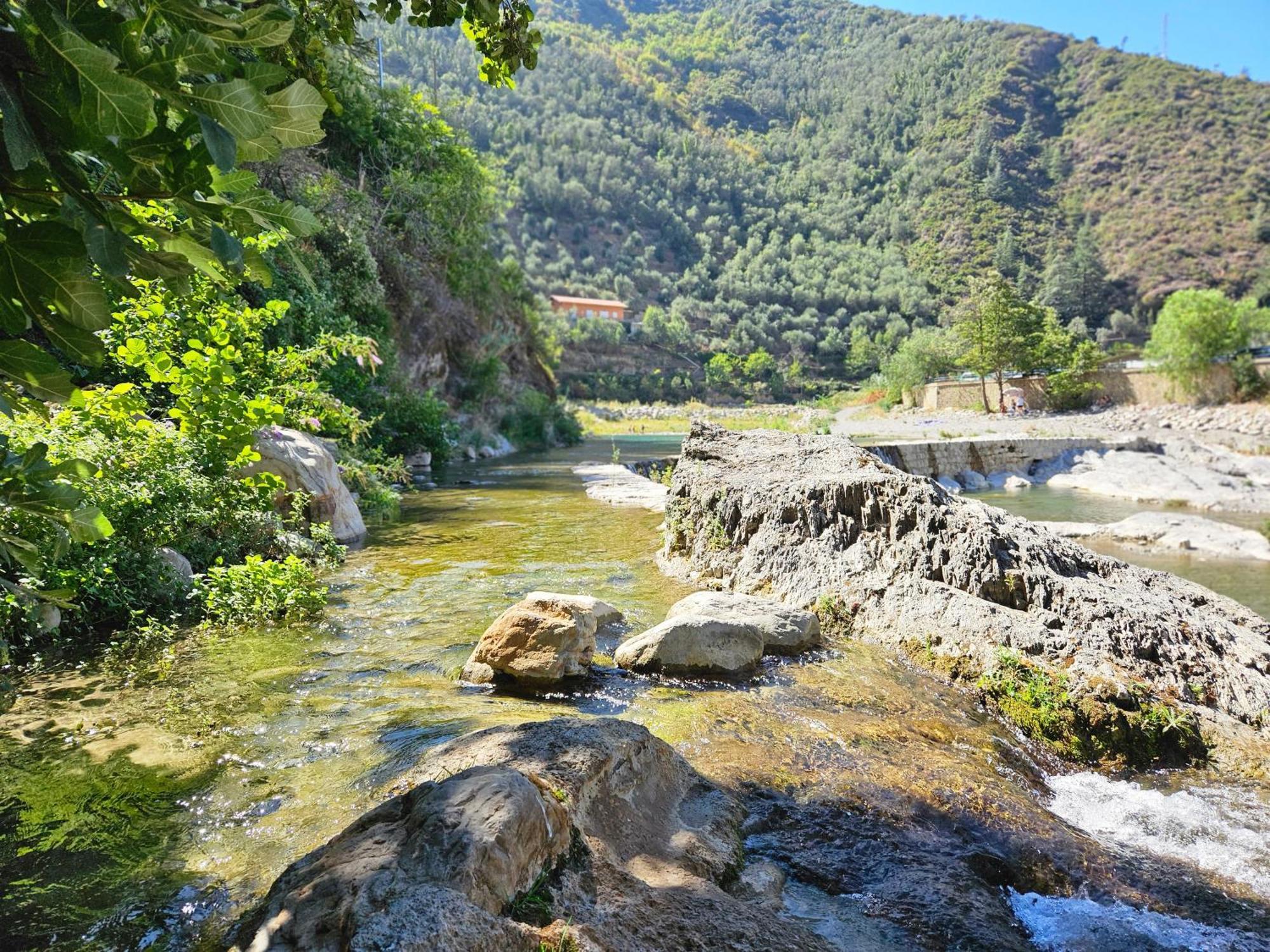 Sweet Home Badalucco 10 Min Dal Mare 4 Persone ภายนอก รูปภาพ